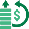 Chief Finance Officer (CFO)